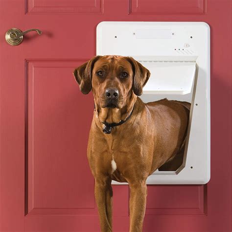 petsafe microchip dog door